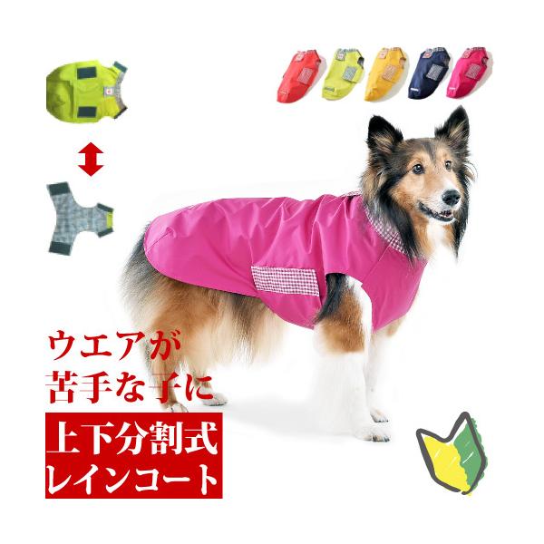   J CR[g ^ Jbp ₷ C[W[C lkTCY lR|X s hD[hD {[_[R[ X^v[ WHCY