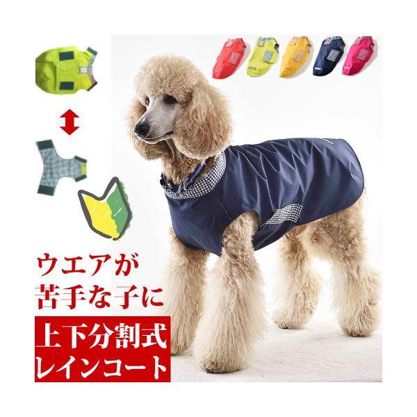   J CR[g ^ Jbp ₷ C[W[C kTCY lR|X s S[fgo[ uh[ nXL[ WHCY