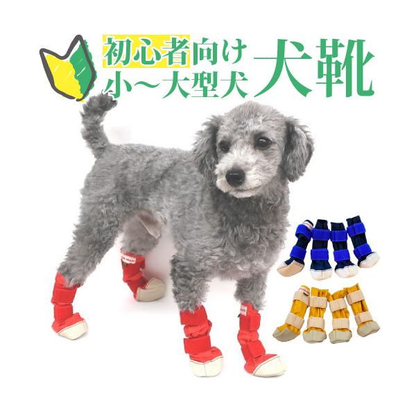 petnext_w320841- petnext_w320841-