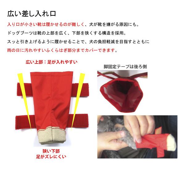 �� �C ���C ���̌C ���p�C ���p ���^�� �h�b�O�V���[�Y XS S �E���Ȃ� �������₷�� �� �~ �J �� �V���[�Y �u�[�c ���ی� �Ώ��\�h �v�[�h�� �`���� ���i�摜2