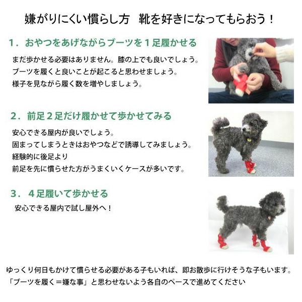 �� �C ���C ���̌C ���p�C ���p ���^�� �h�b�O�V���[�Y XS S �E���Ȃ� �������₷�� �� �~ �J �� �V���[�Y �u�[�c ���ی� �Ώ��\�h �v�[�h�� �`���� ���i�摜4