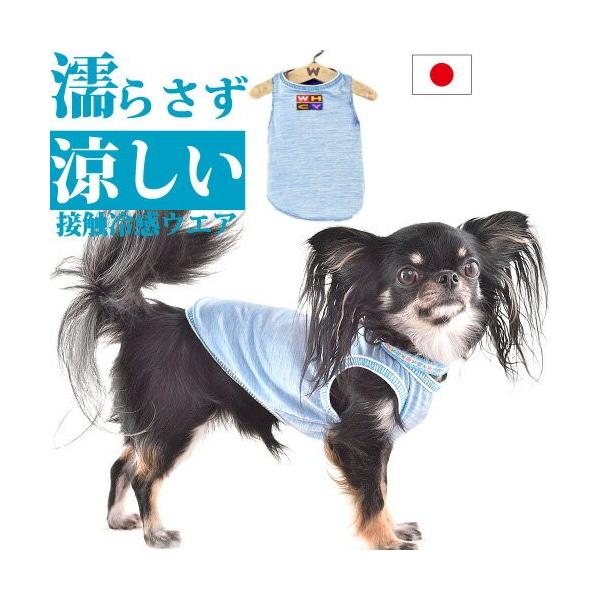    XgON[^Nywr^rr-rTCYz ڐG⊴ G炳Ȃ ₽  Ђ N[EGA ΍ ĕ N[  COOL