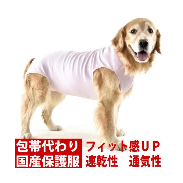 petnext_w320888-a