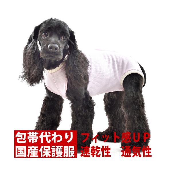  p㕞 GUxXJ[ vgbx@Ts[Xa  tBbg Ȃ^Cv(TEUj@DpEAM[̃JCJCEъ̕  ی앞