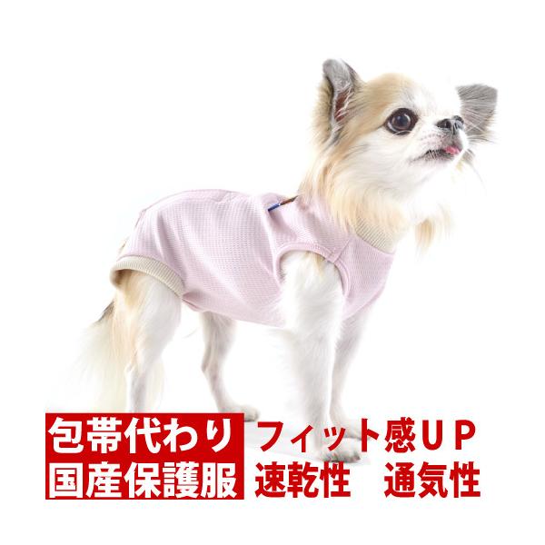  p㕞 GUxXJ[ vgbx@Ts[Xa  tBbg Ȃ^Cv(S`aj@DpEAM[̃JCJCEъ̕  ی앞 ̎q