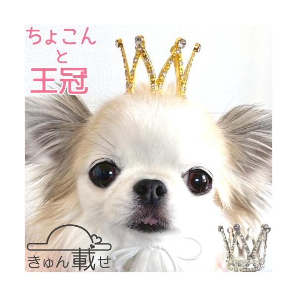 犬 猫 被り物 かぶりもの 王冠 クラウン きゅん載せ 帽子 ゴムひも アクセサリー 飾り 誕生日 バースデー プレゼント 写真撮影 かわいい 小型犬 ヘアピン
