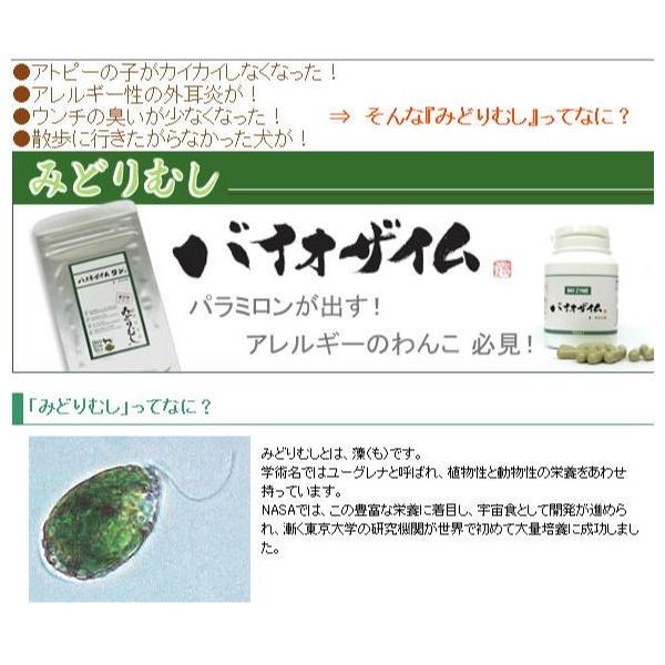 ユーグレナ 犬用みどりむし バイオザイムワン 粉末タイプ30g Buyee Buyee Japanese Proxy Service Buy From Japan Bot Online