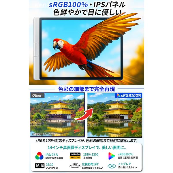���o�C�����j�^�[ 14�C���` 4��� �f���A�����j�^�[ �m�[�g�p�\�R���p Quad �g���f�B�X�v���C Type-C 1920�~1200 WUXGA IPS �y��2.14kg Windows MacOS�Ή� ���i�摜5