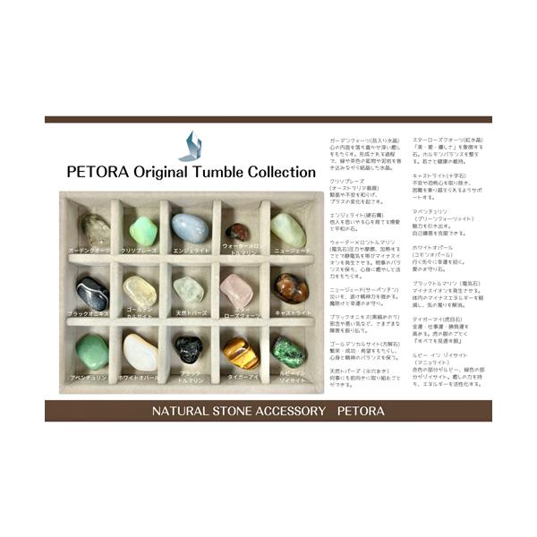 petora_pgm-271