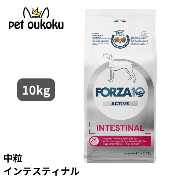 FORZA10（フォルツァディエチ） フォルツァ10 インテスティナル