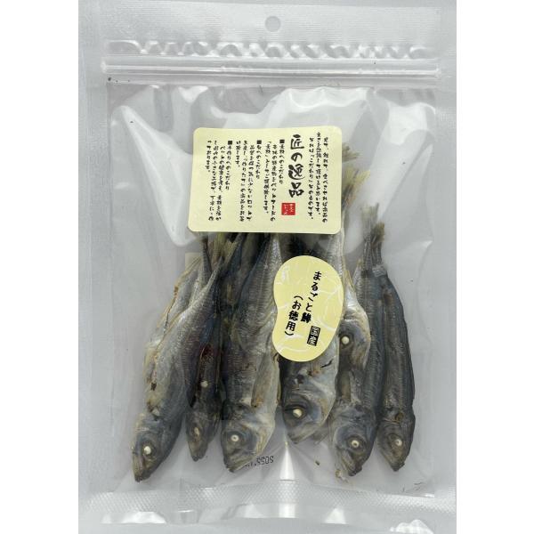 まるごと鯵