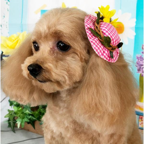 ペット用 ヘアクリップ ひまわりギンガムハットクリップ C-118 10ヶ入 犬猫 サロン 夏 トリマーさんオススメ メール便3点までOK