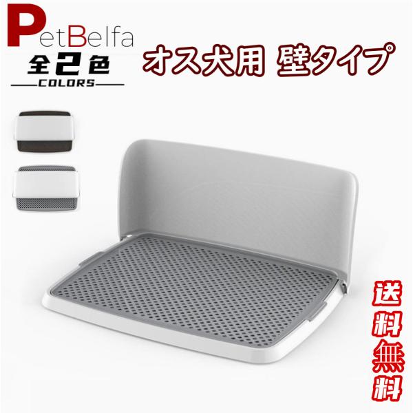 petshopbelfa_dogtoire02