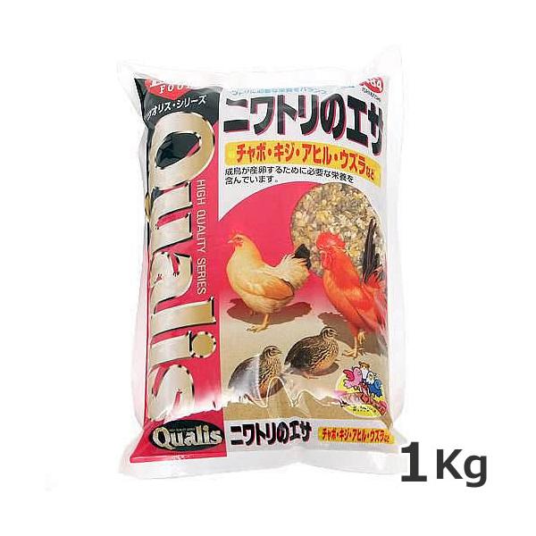 ○ペッツイシバシ クオリス ニワトリのエサ 1kg 鳥 フード