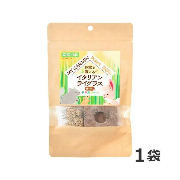 イースター マイガーデン 牧草栽培セット イタリアンライグラス 1袋