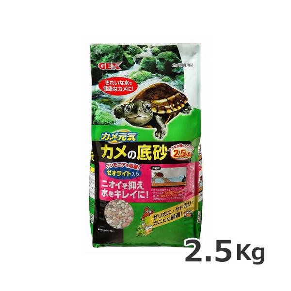 かめ様 リクエスト 2点 まとめ商品 kazz様 リクエスト 2点 まとめ商品 - メルカリ