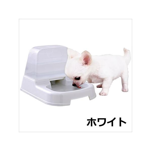 ACXI[} ybgp J-200 zCg