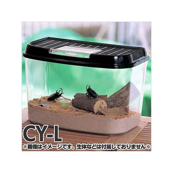 ACXI[} 烉h CY-L ubN