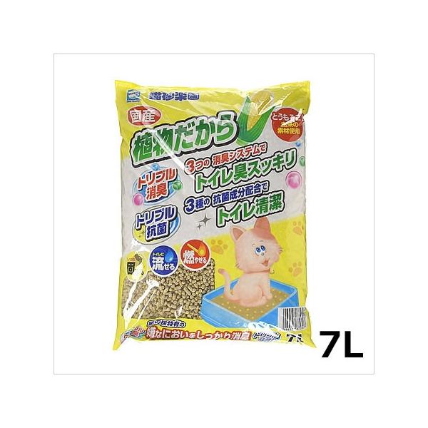 A[XoCIP~J Ly A 7L 1ll4܂