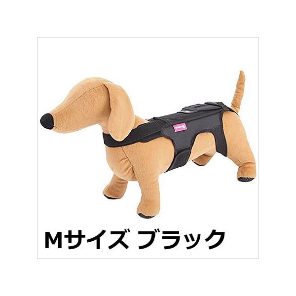 Rr Rybg zmAT|[^[ pn[lX M ubN/fj/`FbN