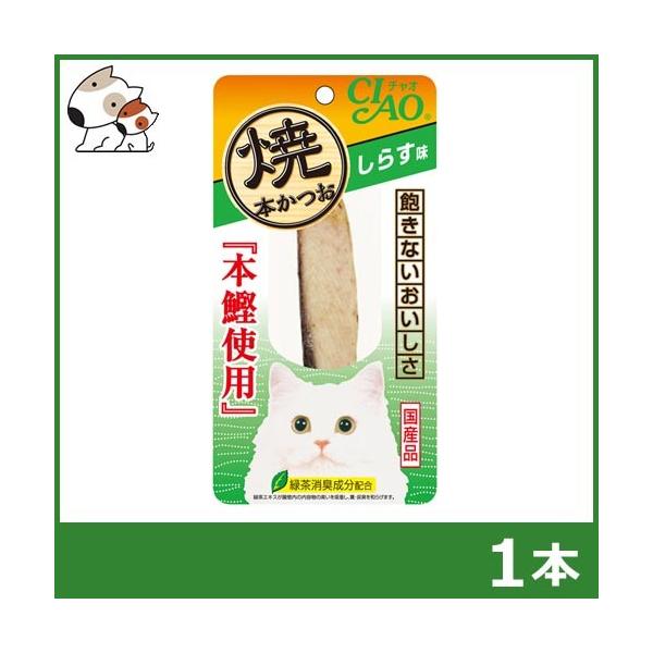 Ȃ `I CIAO Ė{ 炷 1{