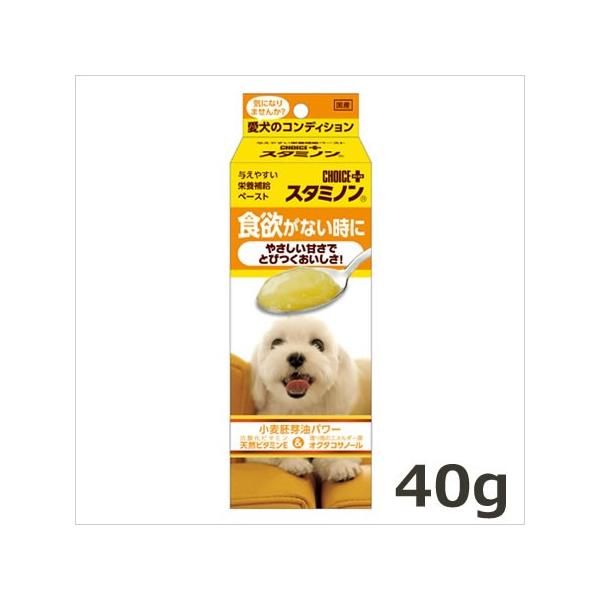 A[XEoCIP~J `CXvX X^~m H~Ȃ 40g