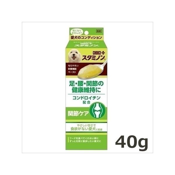 A[XEoCIP~J `CXvX X^~m ֐߃PA 40g