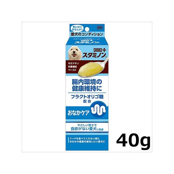 A[XEoCIP~J `CXvX X^~m ȂPA 40g