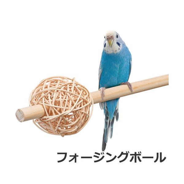 petsmum_4906456574088