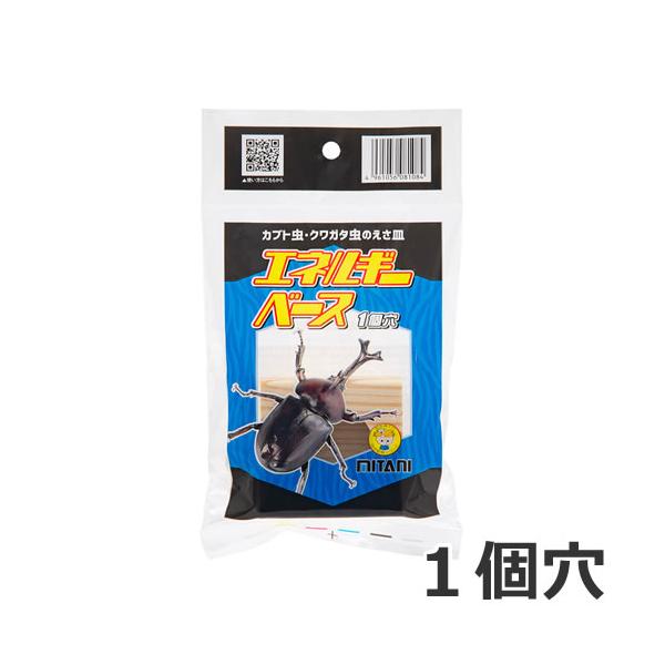 ★新品未使用品‼️オータニ昆虫館SEMI ・セミ★入手難※希少★ ☆新品未使用品‼️オータニ昆虫館SEMI ・セミ ☆入手難※希少