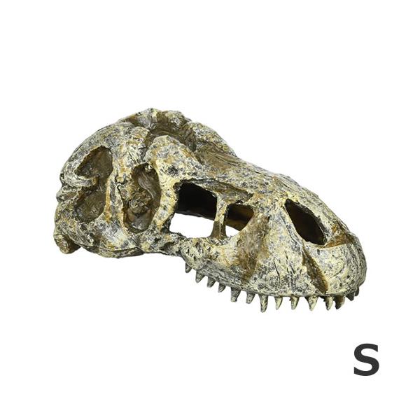 GEX エキゾテラ T-REX スカル S PT2860 両生類 爬虫類