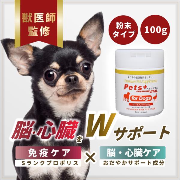 【獣医師監修の犬用サプリ】現役獣医師が10年以上使用してきた実績あるサプリメント（栄養補助食品）。【脳や心臓をWケア】プロポリスを中心に、ローヤルゼリー・イチョウ葉エキス・アスタキサンチンなど、あたま(脳)や心臓、循環器、認知機能の健康維持...