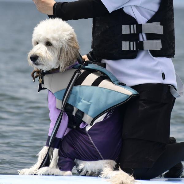 GEWALKライフジャケット