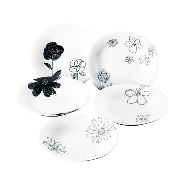 m} pX^J[MZbg 1134-054