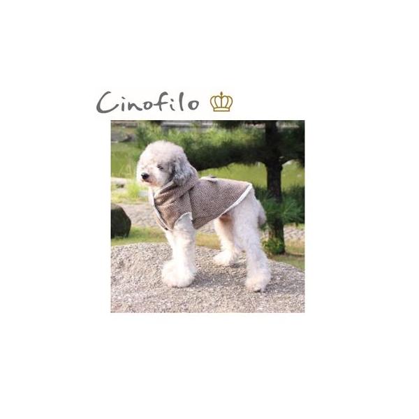 `mtB@cB[hxgt{AR[g@SS