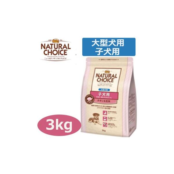 i``CX@qp@DPE̕ꌢɂ@^p@`Lā@3kg@Ki