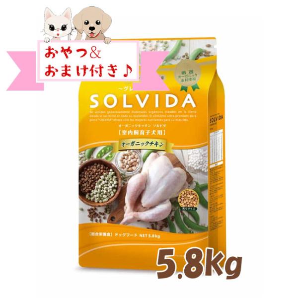 ソルビダ　ドッグフード　グレインフリー　チキン　室内飼育子犬用　5.8kg　SOLVIDA 無添加 オーガニック  パピー用 穀物不使用 正規品