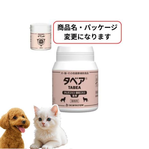 イペット