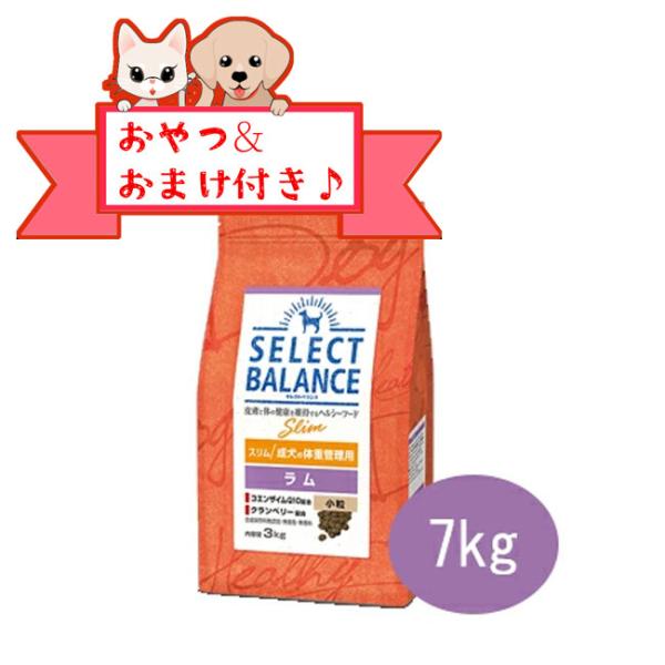 スリムラム7kg×2個 2個 セレクトバランス スリムラム 7kg