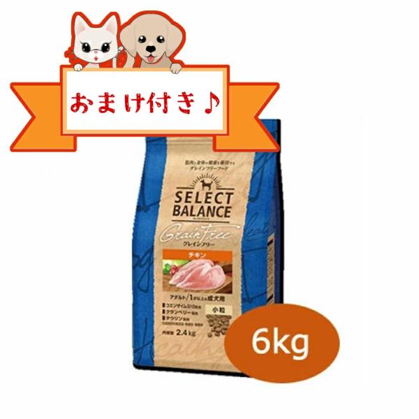 セレクトバランス　グレインフリー アダルト　チキン　小粒6kg　1才以上の成犬用　正規品　おまけ対象商品