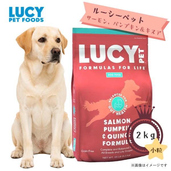 ルーシーペット サーモンパンプキン&キヌアドライドッグフード 小粒