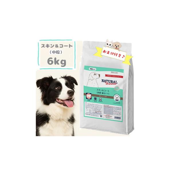 ナチュラルハーベスト　スキン&コート  6kg　ドッグフード パピー 幼犬 成犬 シニア犬 ドライフード ペットフード 皮膚 被毛 正規品