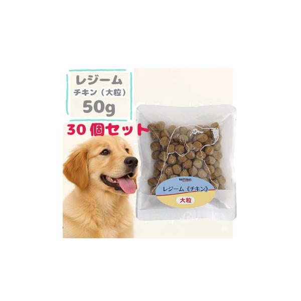 レジーム ドッグフード 大粒 ドライフード チキン