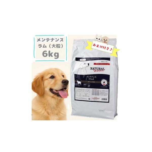 ナチュラルハーベスト　メンテナンス ラム　6kg　ドッグフード 大粒 成犬用 シニア犬用 低脂肪 アレルギー対応 低カロリー グルコサミン コンドロイチン配合