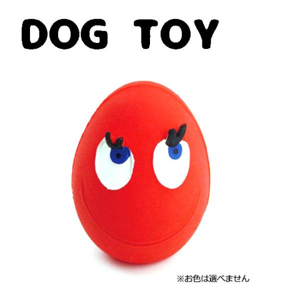 サンジョルディー　たまごちゃん