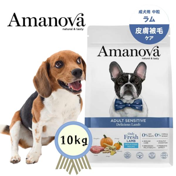 アマノバ Amanova ドッグフード アダルト センシティブ デリシャス ラム ドライフード 成犬用 中粒 2kg 無添加