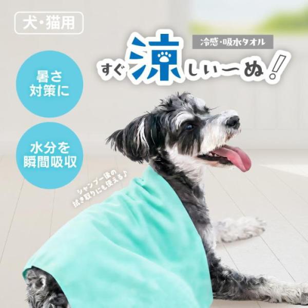 アンサー すぐ涼しい〜ぬ パステルグリーン