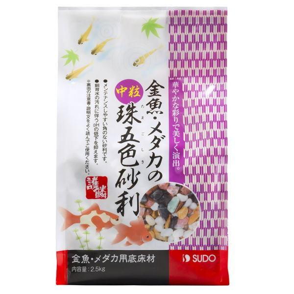 Xh[@E_J̒ܐF@QDT×4iP[X̔)