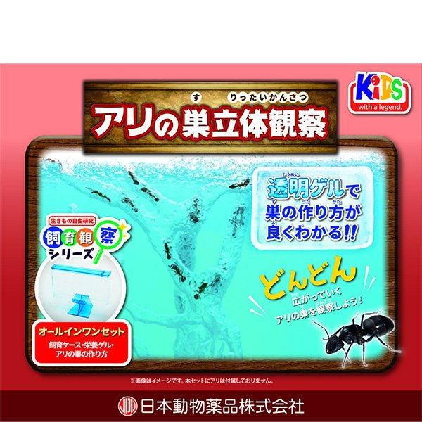 ニチドウ 飼育観察セット アリの巣立体 : ペット良品倶楽部ヤフー店