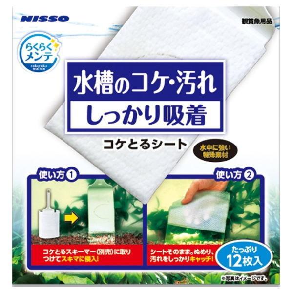 jb\[ 炭炭e RPƂV[g